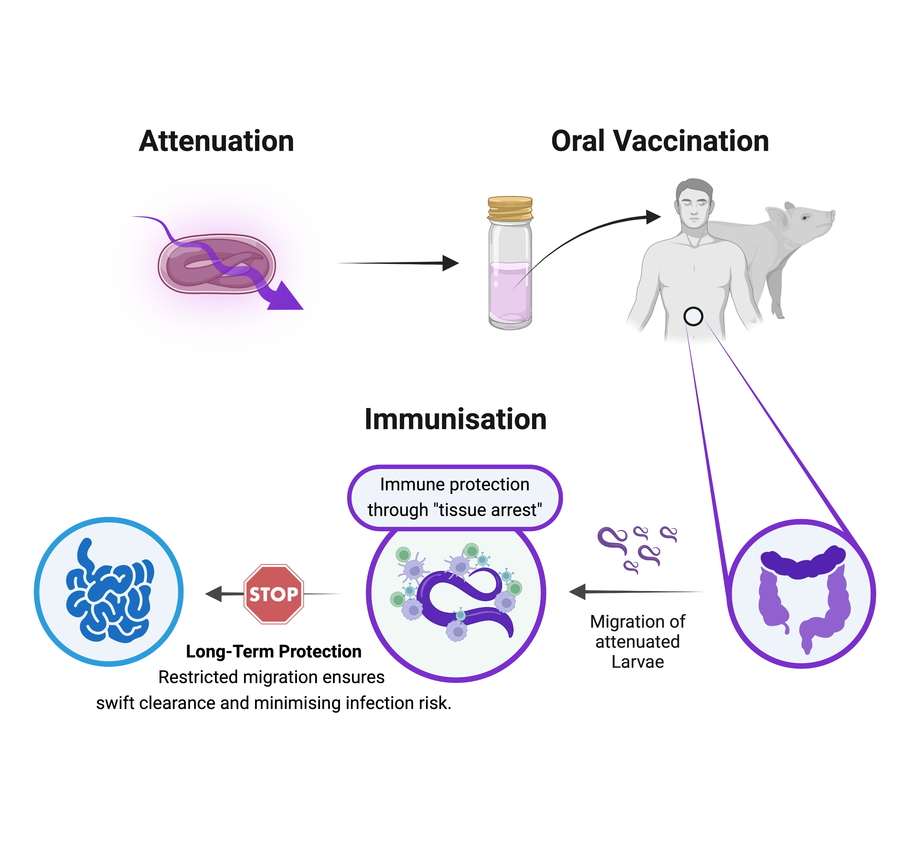 Immunisation Scenario